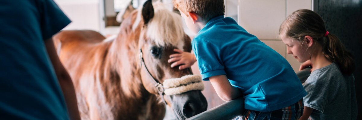 Kinder streicheln ein Pferd im Stall. | © Urlaub am Bauernhof im SalzburgerLand / Daniel Gollner