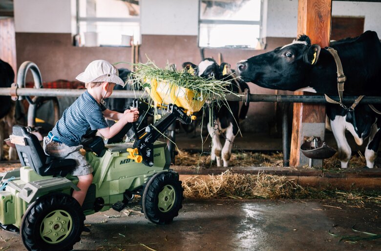 Ein Bub füttert mit dem Trettraktor die Kühe im Stall. | © Urlaub am Bauernhof im SalzburgerLand / Daniel Gollner