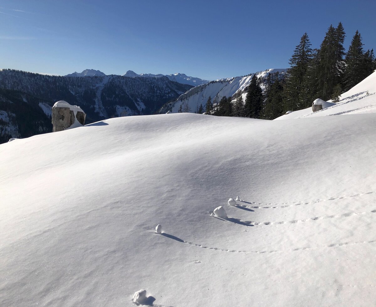 Winterlandschaft auf der Postalm | © Margret Appesbacher