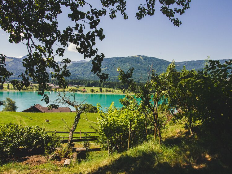 At the Stallerbauer in Ried am Wolfgangsee you always enjoy a fantastic view of the Wolfgangsee. | © Farmholidays in SalzburgerLand / Matthias Gruber