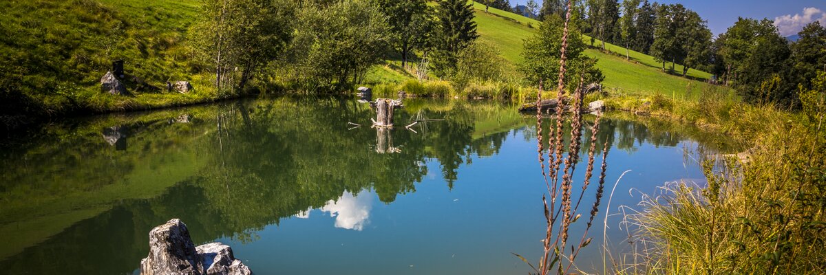 Kleiner Teich am Kohlschnaithof in Bruck, Salzburger Land | © Urlaub am Bauernhof Salzburger Land / Bernd Suppan