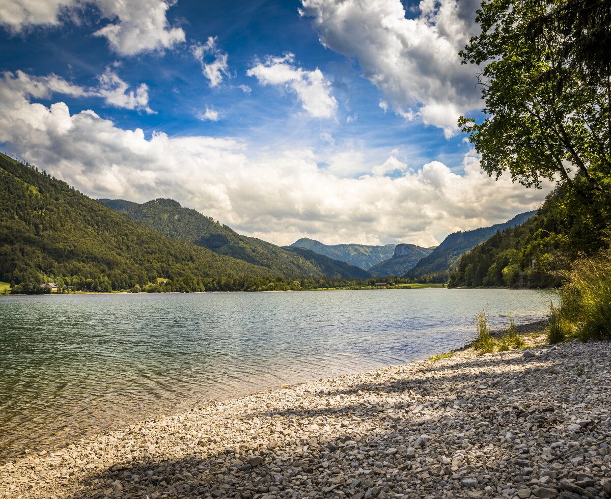 Blick vom Ufer aus über den Hintersee und die umliegende Bergwelt. | © Urlaub am Bauernhof im SalzburgerLand / Bernd Suppan