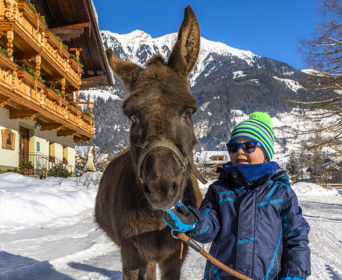 Boy with donkey in winter, Zittrauerhof, Gasteinertal region, Salzburger Land | © Urlaub am Bauernhof Salzburger Land / Bernd Suppan