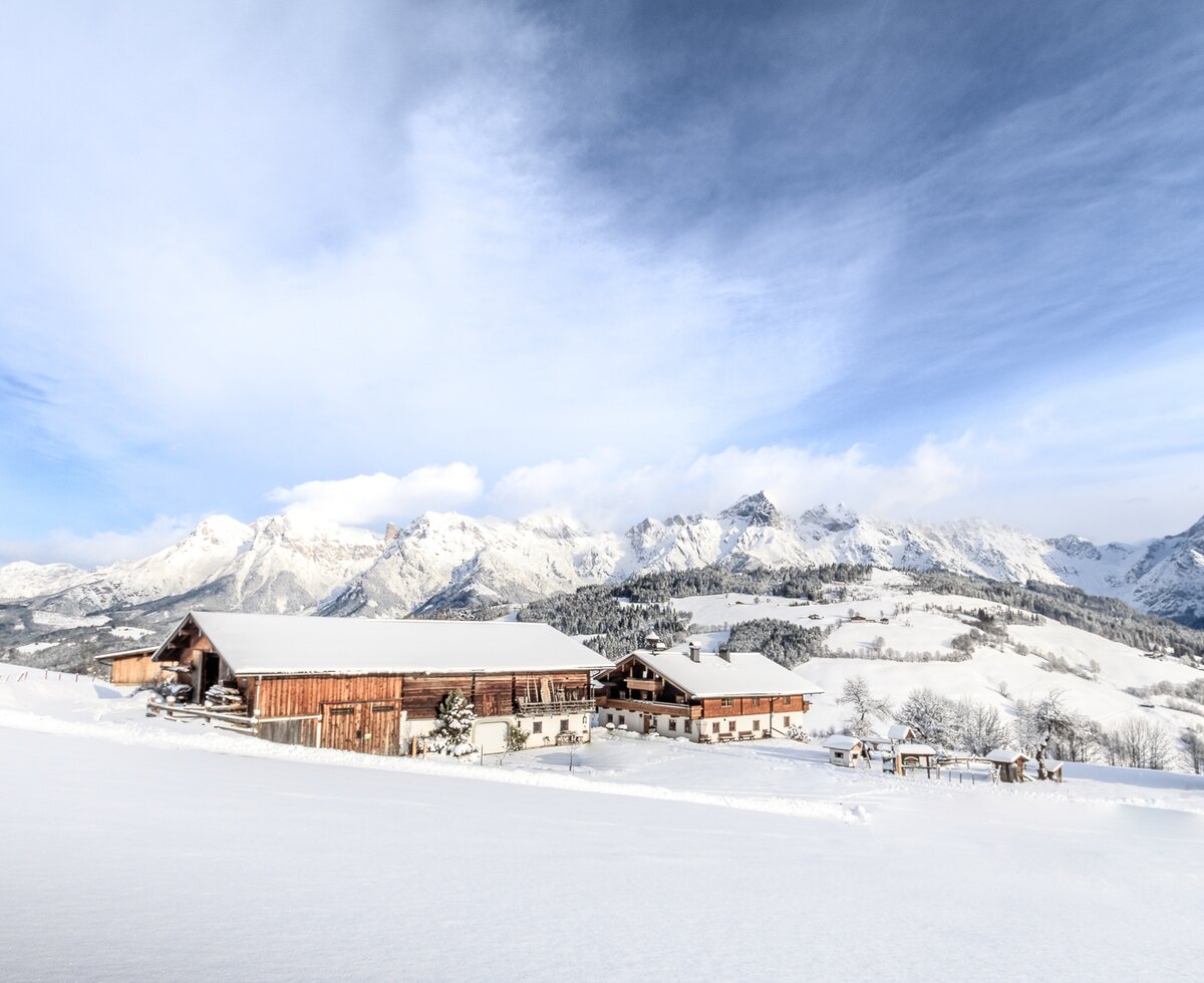 Snowy landscape in Salzburger Land, Christernhof in Maria Alm, Hochkönig region | © Familie Geisler / Domenik Wartbichler 