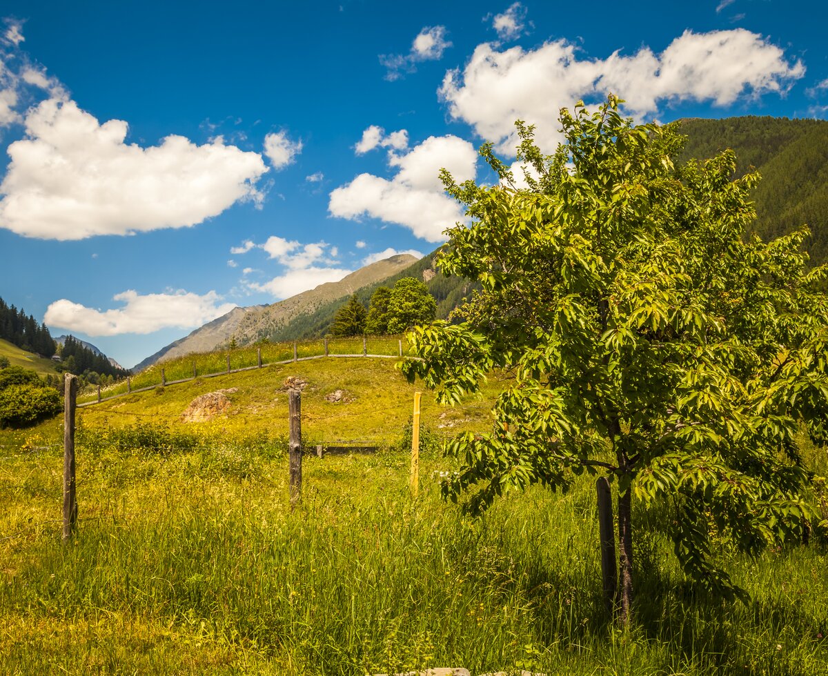 Lenzbauer Landschaftz Lessach, Salzburger Lungau | © Urlaub am Bauernhof / Bernd Suppan