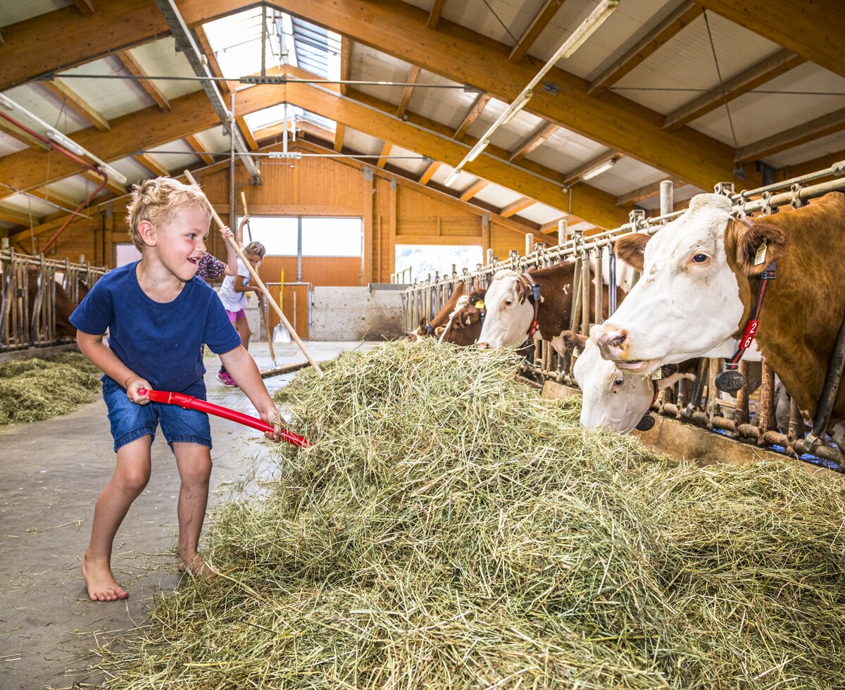 Boy in stable at Motzenhof in Adnet, Salzburger Land | © Urlaub am Bauernhof / Bernd Suppan