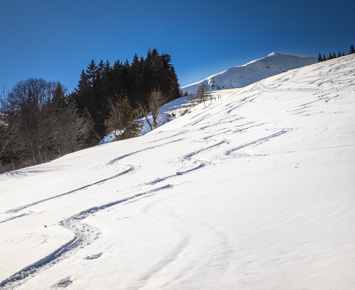 Skispur im Pulverschnee, Dienten am Hochkönig, Salzburger Land | © Urlaub am Bauernhof Salzburger Land / Bernd Suppan