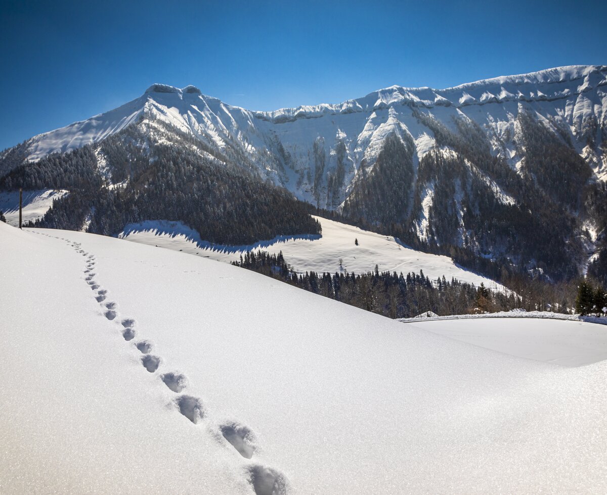 Fußstapfen, Winterlandschaft, Tennengau, Salzburger Land | © Urlaub am Bauernhof Salzburger Land / Bernd Suppan