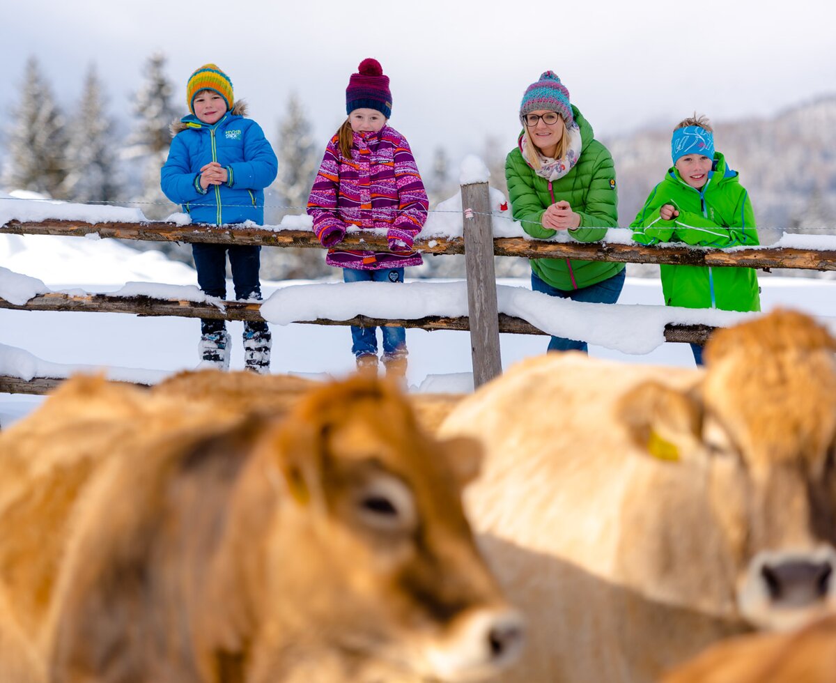 Mutter und Kinder stehen beim Zaun und schauen auf die Kühe, die auch im Winter rausgehen, Urlaubsregion Murau-Murtal, Steiermark | © Urlaub am Bauernhof Steiermark / Wolfgang Spekner