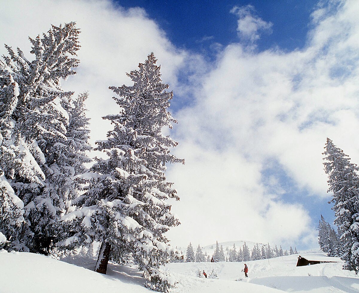 Skifahrer auf der Piste in verschneiter Landschaft, Steiermark | © Urlaub am Bauernhof Steiermark | Tom Lamm