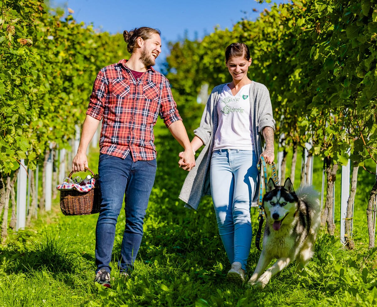 Ein Paar spaziert mit seinem Hund zwischen den Weinreben bergab, Süd-West-Steiermark, Steiermark | © Urlaub am Bauernhof Steiermark / Wolfgang Spekner