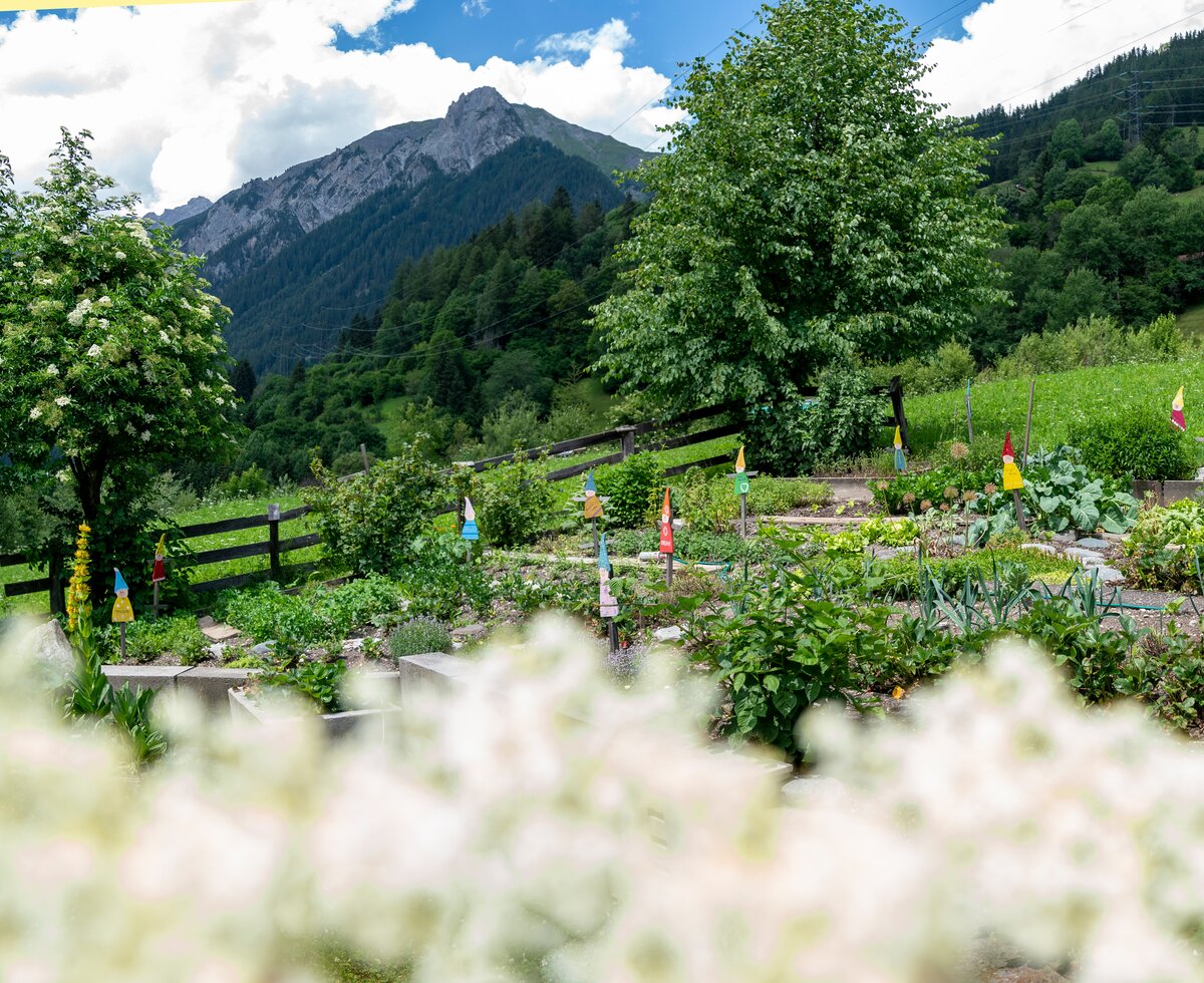 Kräuter am Nadlihof | © Black Tea Fotografie/Viktoria Gstrein 