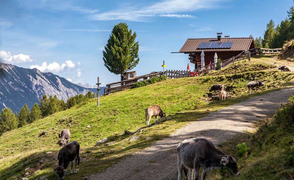 Leiner Alm | © TVB Pitztal/ Chris Walch (Breonix Foto-Design)