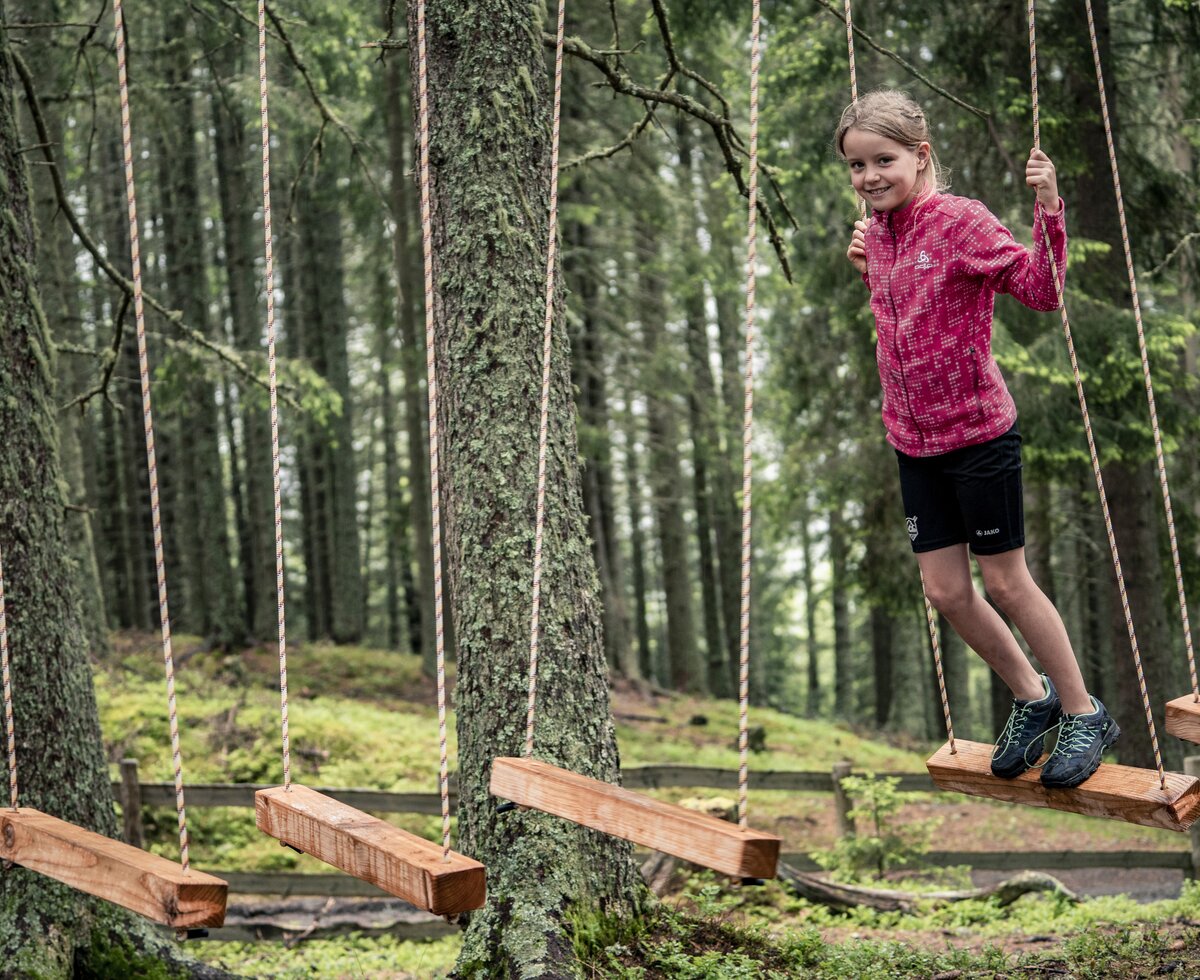 Niederseilgarten Kugelwald | © ©Hall-Wattens Tourismus