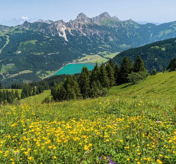 Landschaft See | © TVB Tannheimer Tal/ Achim Meurer