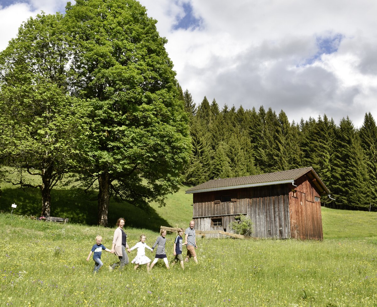 Familie wandert über die Wiese | © Urlaub am Bauernhof Vorarlberg / Andreas Kuenk