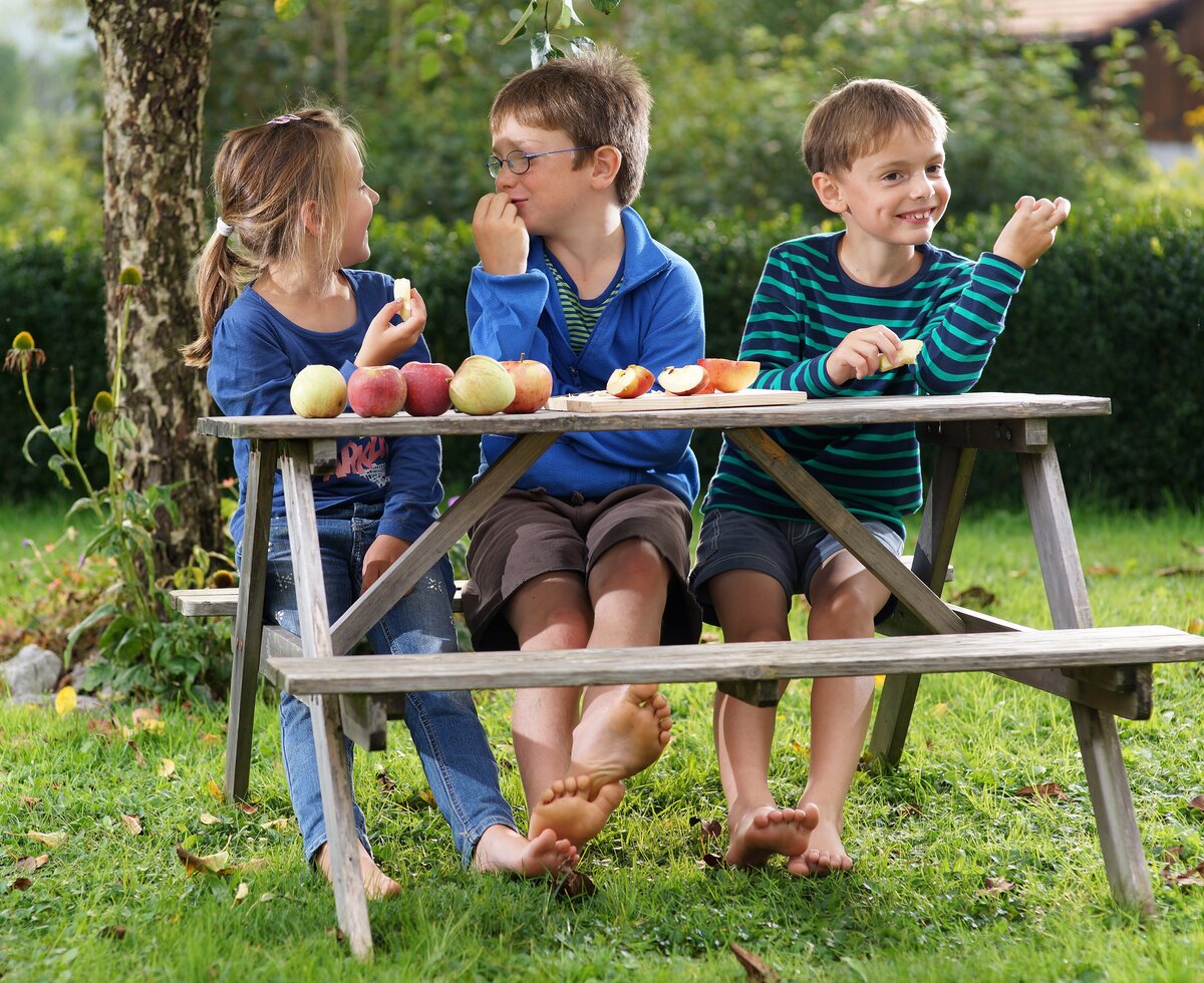 3 Kinder sitzen auf Gartenbank unsd essen Äpfel | © Urlaub am Bauernhof Vorarlberg / Ludwig Berchtold