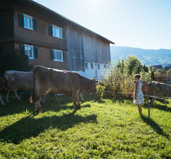 Mädchen bei den Kühen | © Urlaub am Bauernhof Vorarlberg / Daniel Gollner Mädchen bei den Kühen vor dem Hof | © Urlaub am Bauernhof Vorarlberg / Daniel Gollner