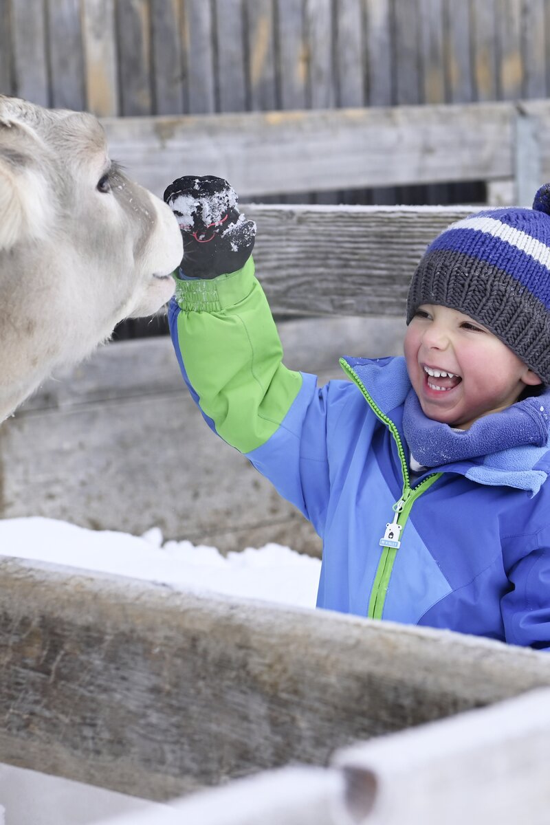 Ein kleiner Junge streichelt ein Kalb im Winter | © Urlaub am Bauernhof / Andreas Künk