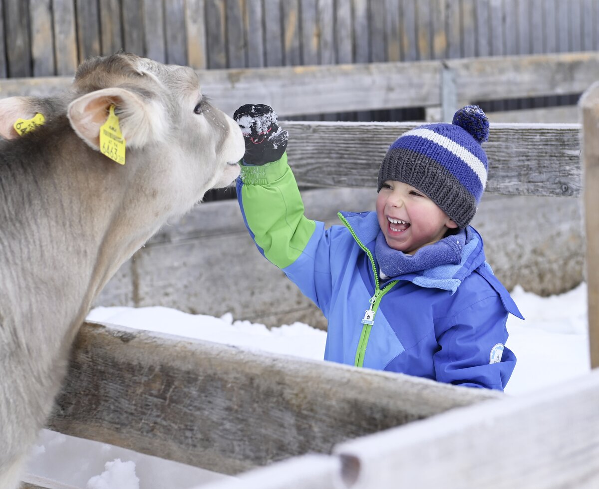 Ein kleiner Junge streichelt ein Kalb im Winter | © Urlaub am Bauernhof / Andreas Künk