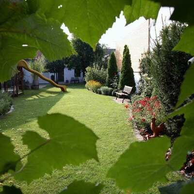 Garden in the courtyard