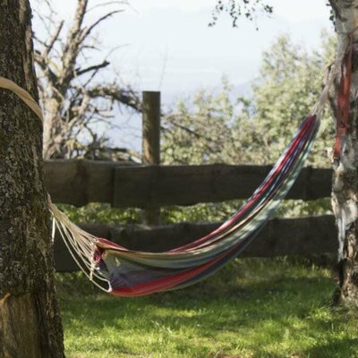 Relaxing in the hammock