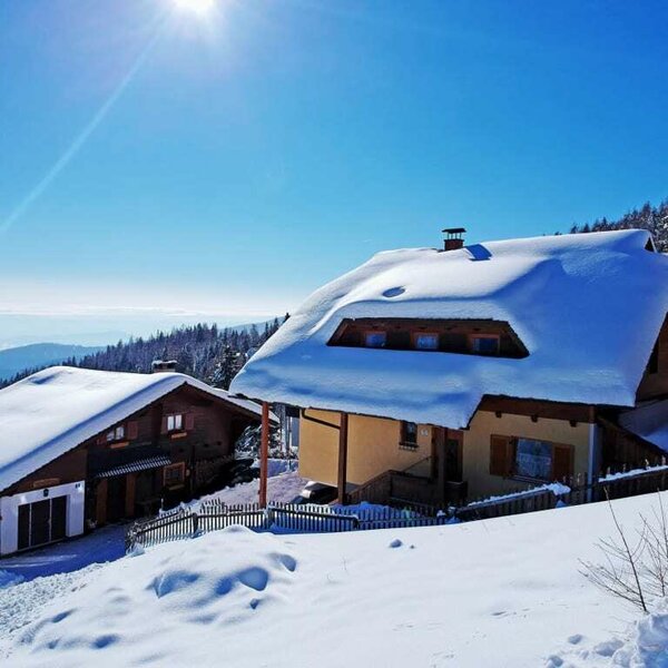 Skiing Chalet Pleschinhof