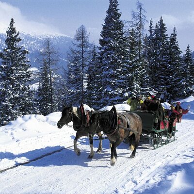 Horse-drawn sleigh