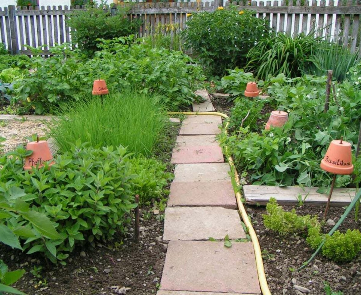 Fresh herbs from our garden for everyone