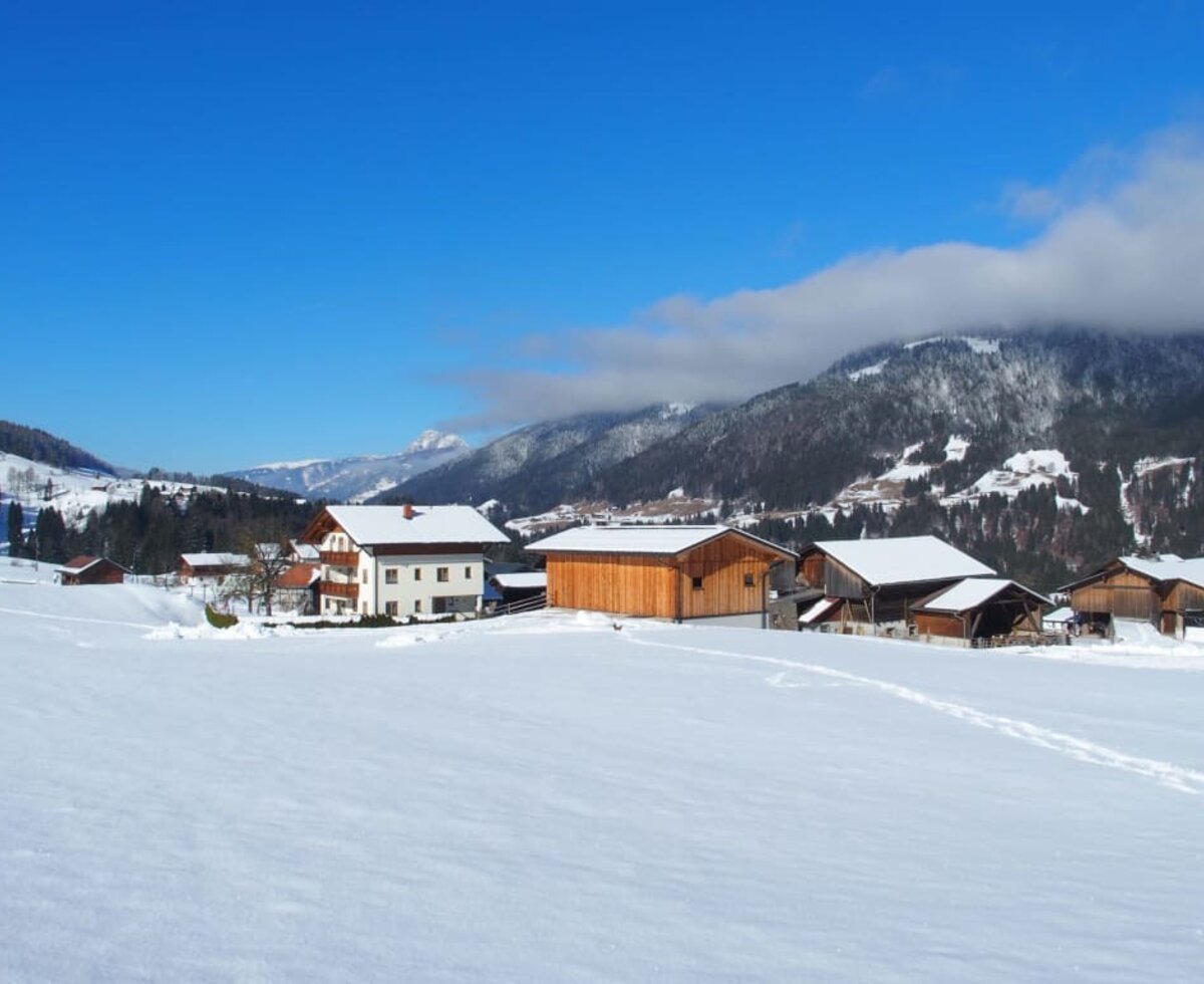 bauernhof ober in the snow