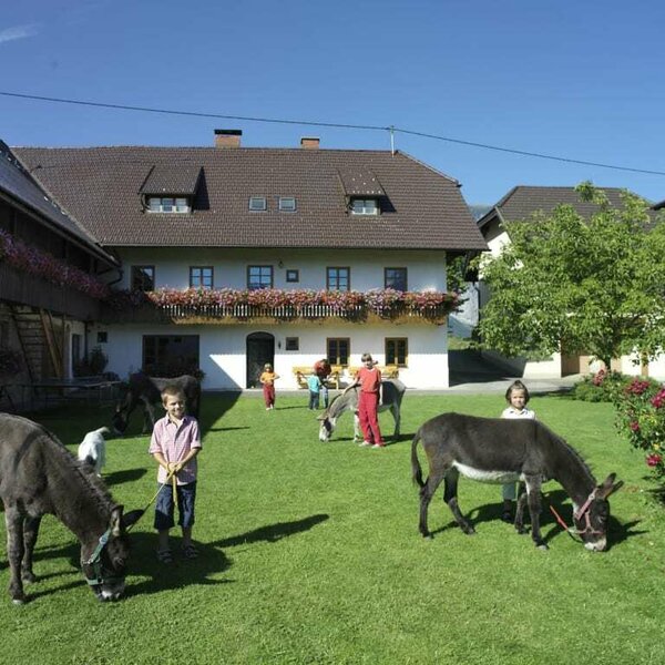 Perhinig farmhouse