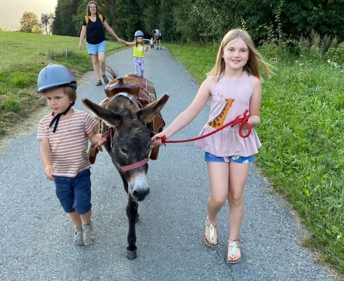 Walking with our donkey Susi