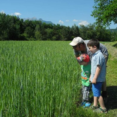 Our fields