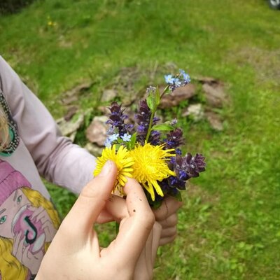 flowers are fascinated