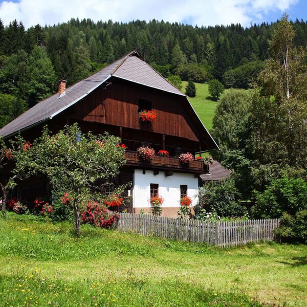 Garden and house