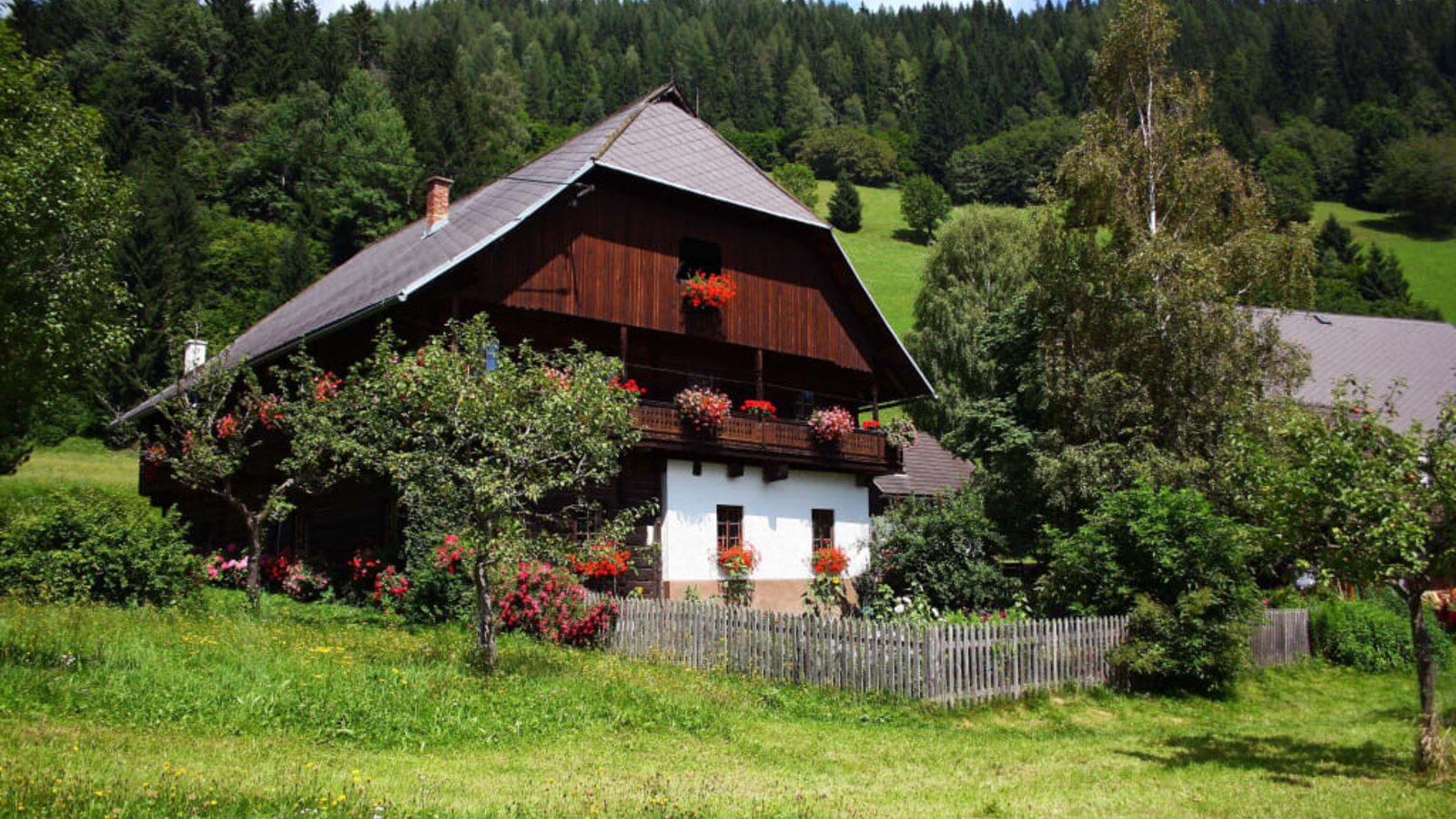 Garden and house