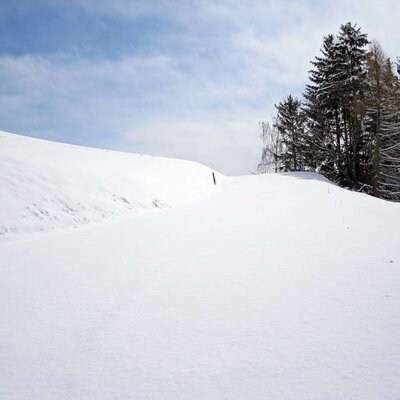 Snowy paths