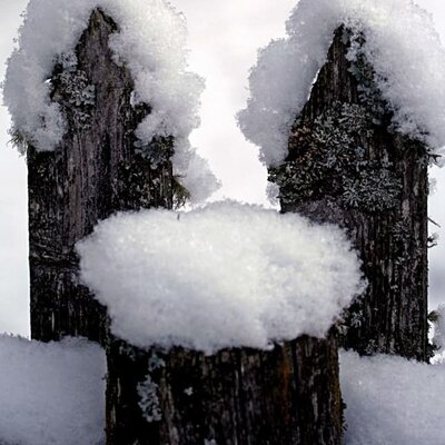 Snow bonnets