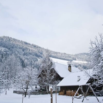 Bodnerhof farm in winter