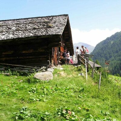 Alpine cabin Goessnitztal