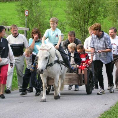 Horse-drawn carriage ride