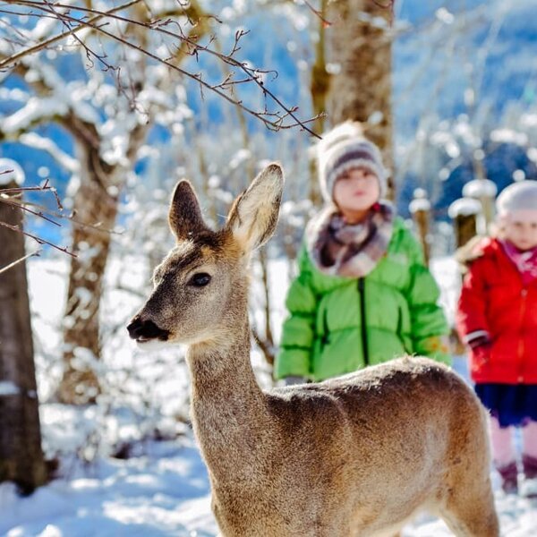 bambi with children