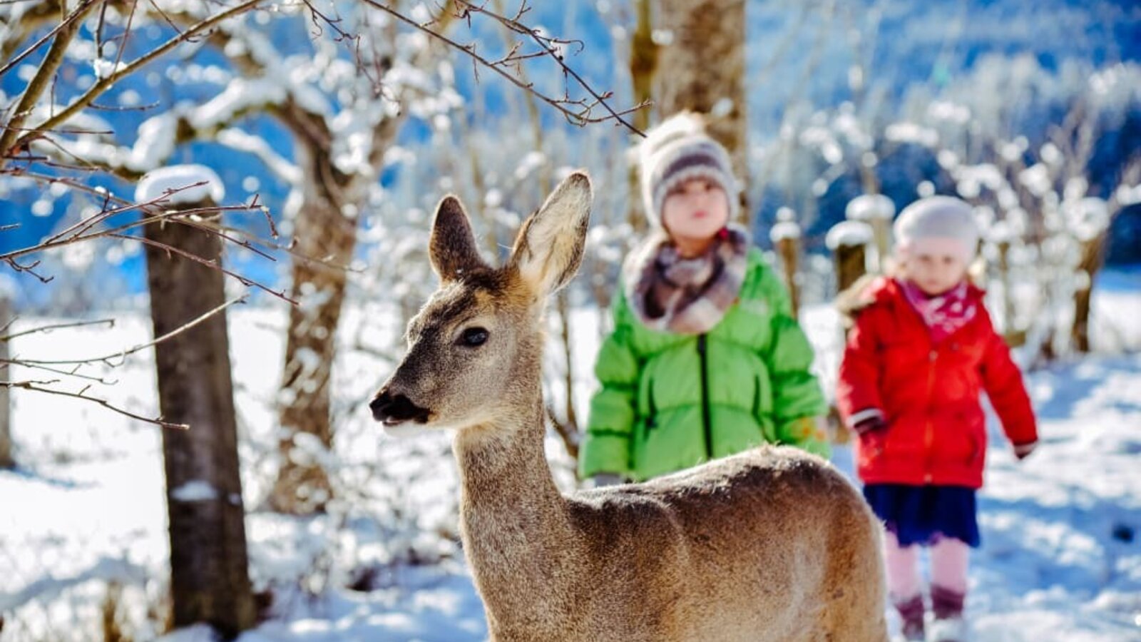 bambi with children