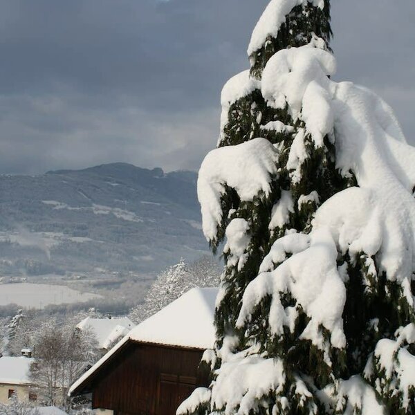 Winter at the Hoferhof farm