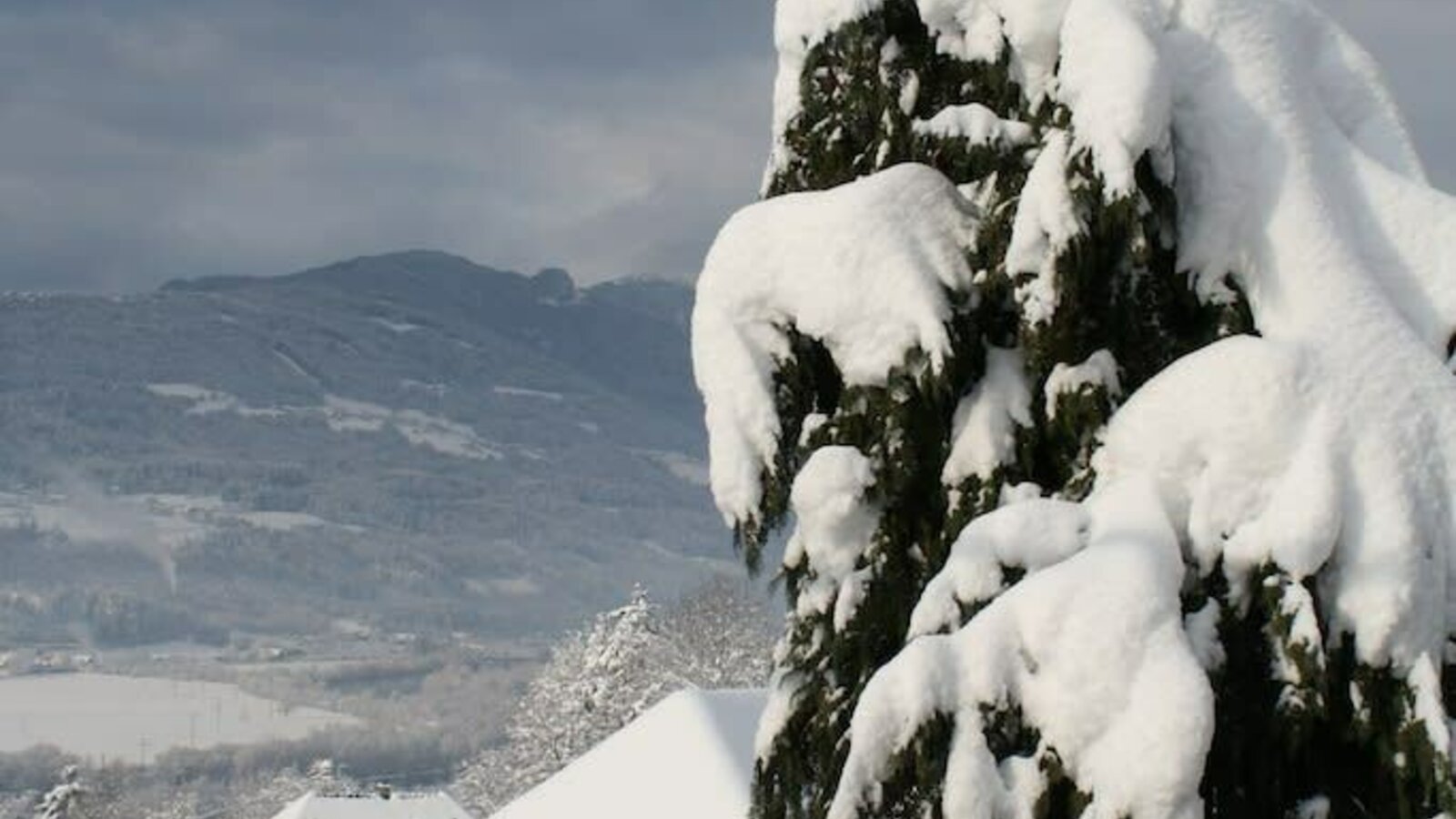 Winter at the Hoferhof farm