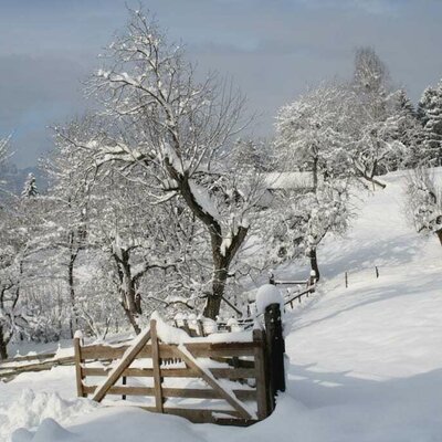 Winter panorama