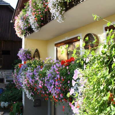 Flowers at the holiday home