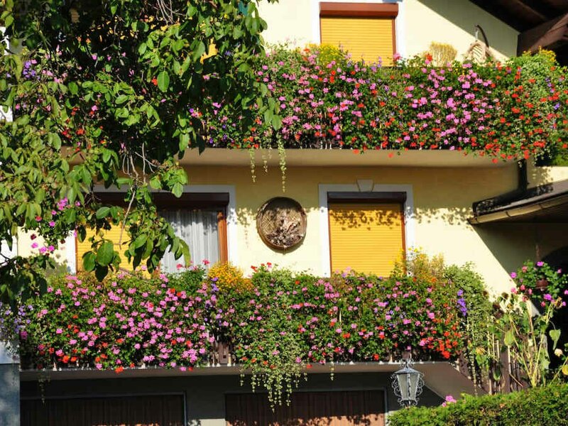 Flowers at the holiday home