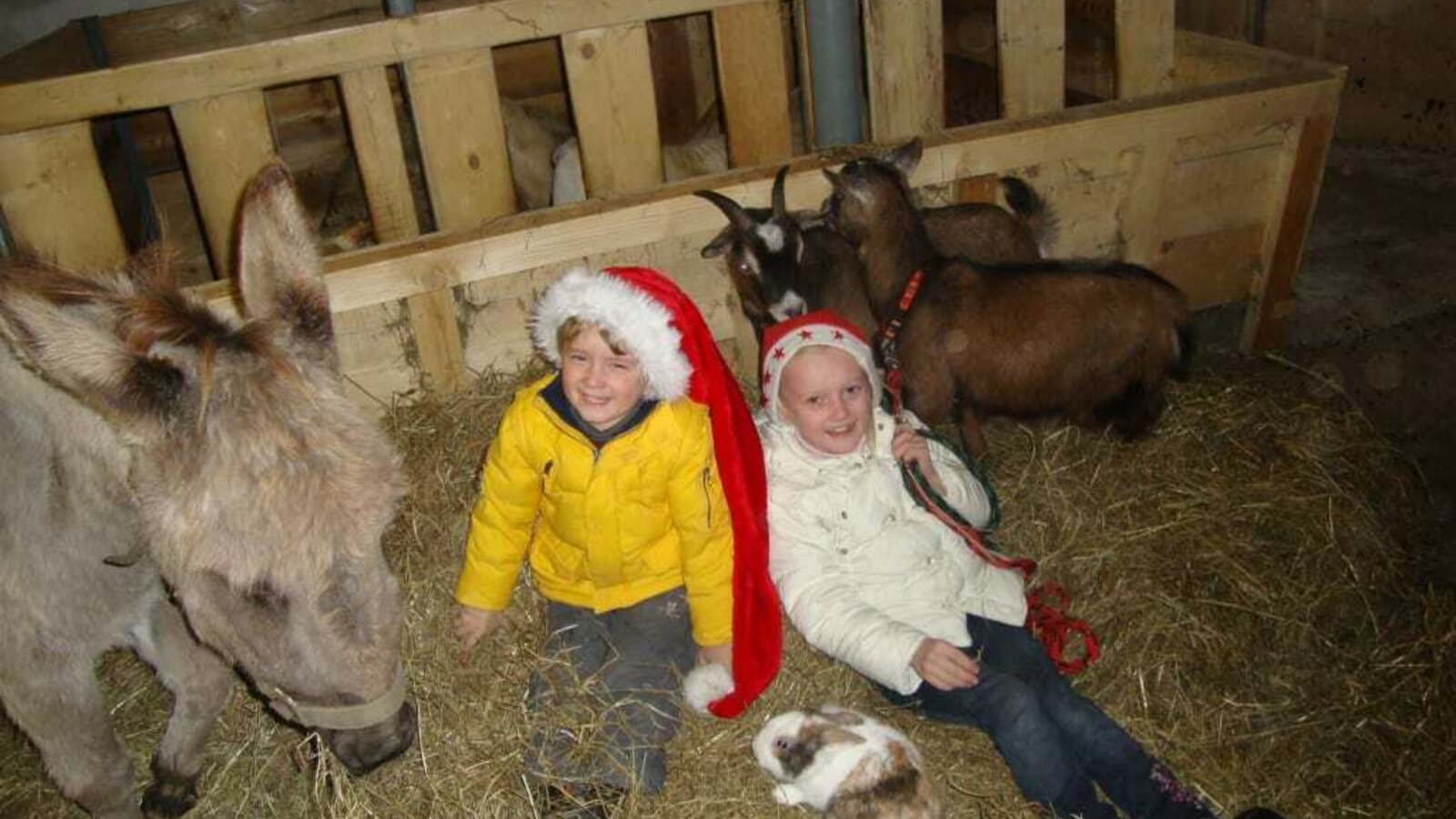 Christmas in the Barn