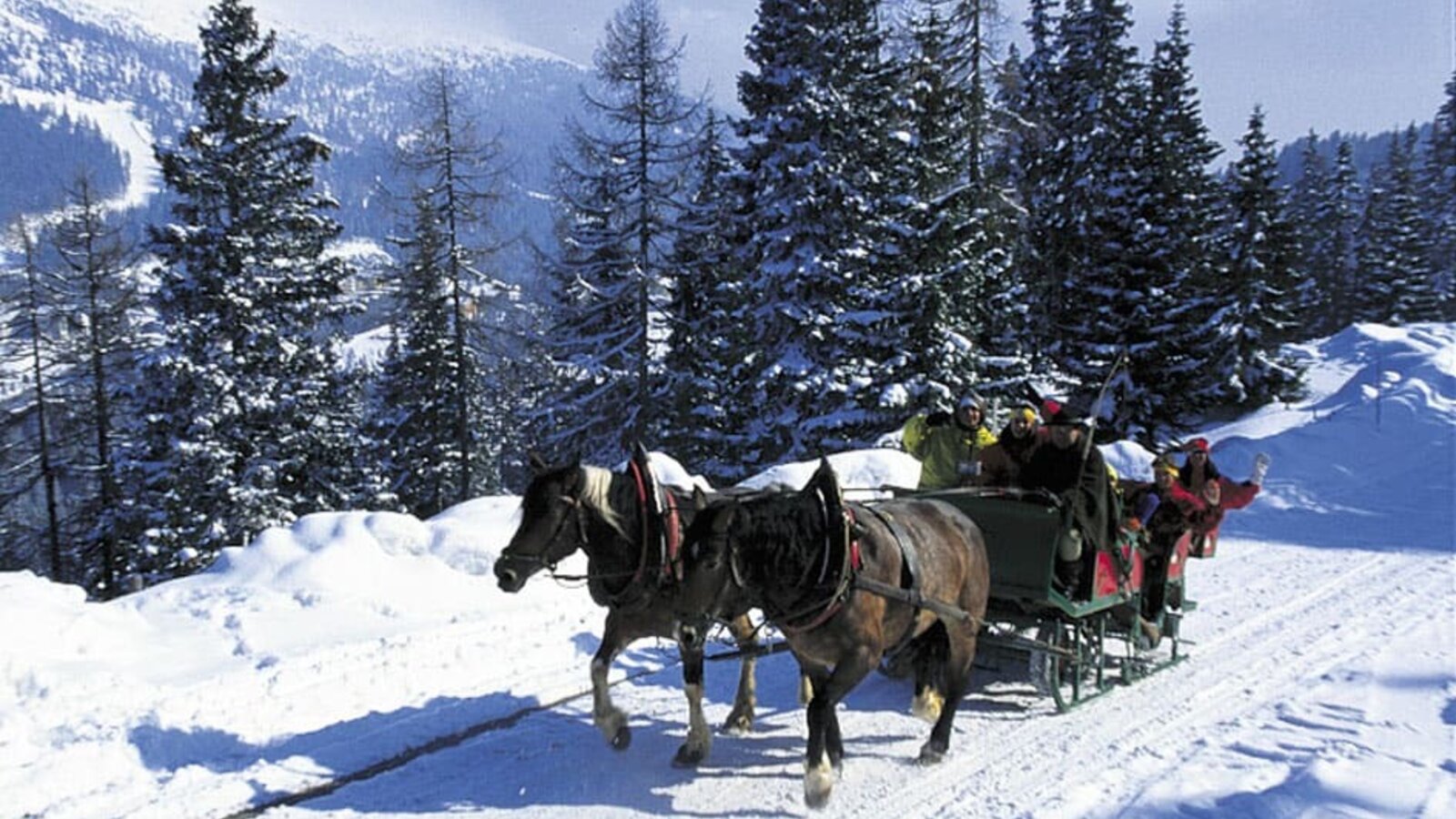 Horse drawn sleigh